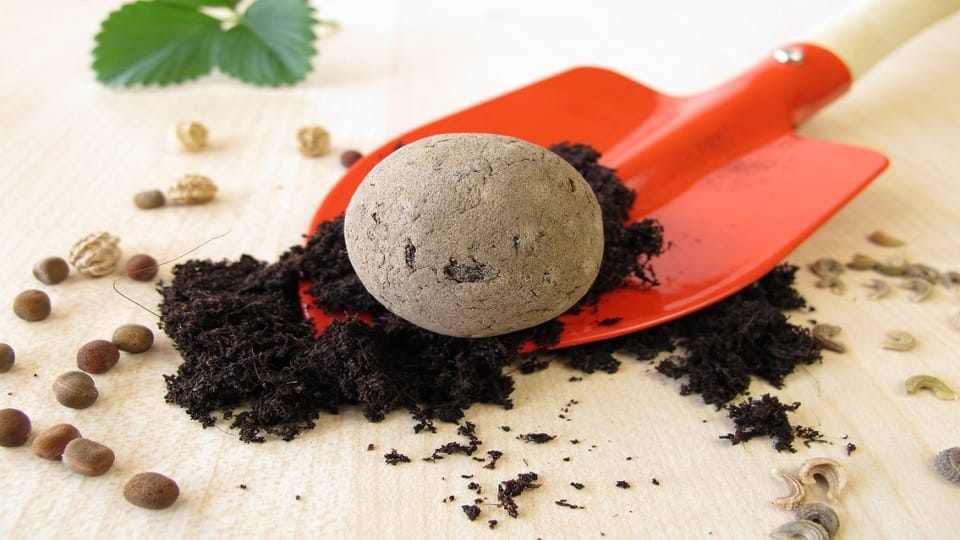 Terai has moved towards a new revolution of greenery through seed bombs