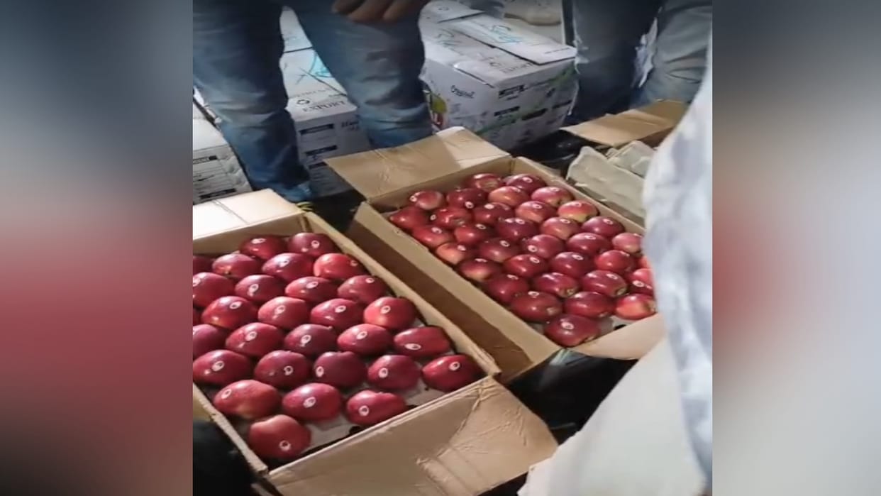 Dark Baron Gala apple got the highest price of this season, a 20 kg box sold for Rs 4200