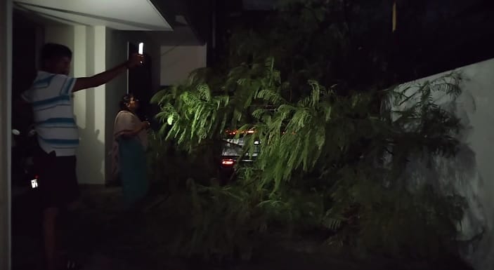 Kanpur Rain wreaks havoc tree fell on house electric wires and poles also broke and fell traffic disrupted