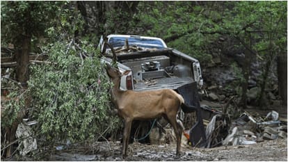 Flood caused huge devastation in New Mexico, Rio Ruidoso river in spate; More than 200 houses damaged