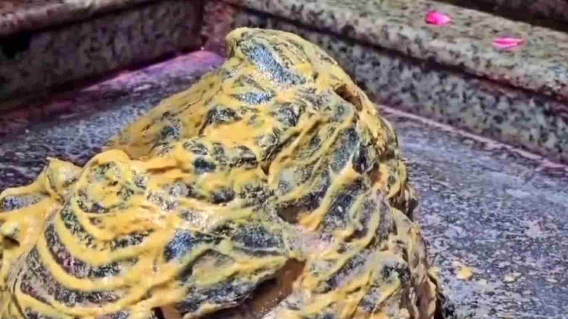 Onkareshwar News: Changed rules for darshan in Omkareshwar for Shravan month 2025