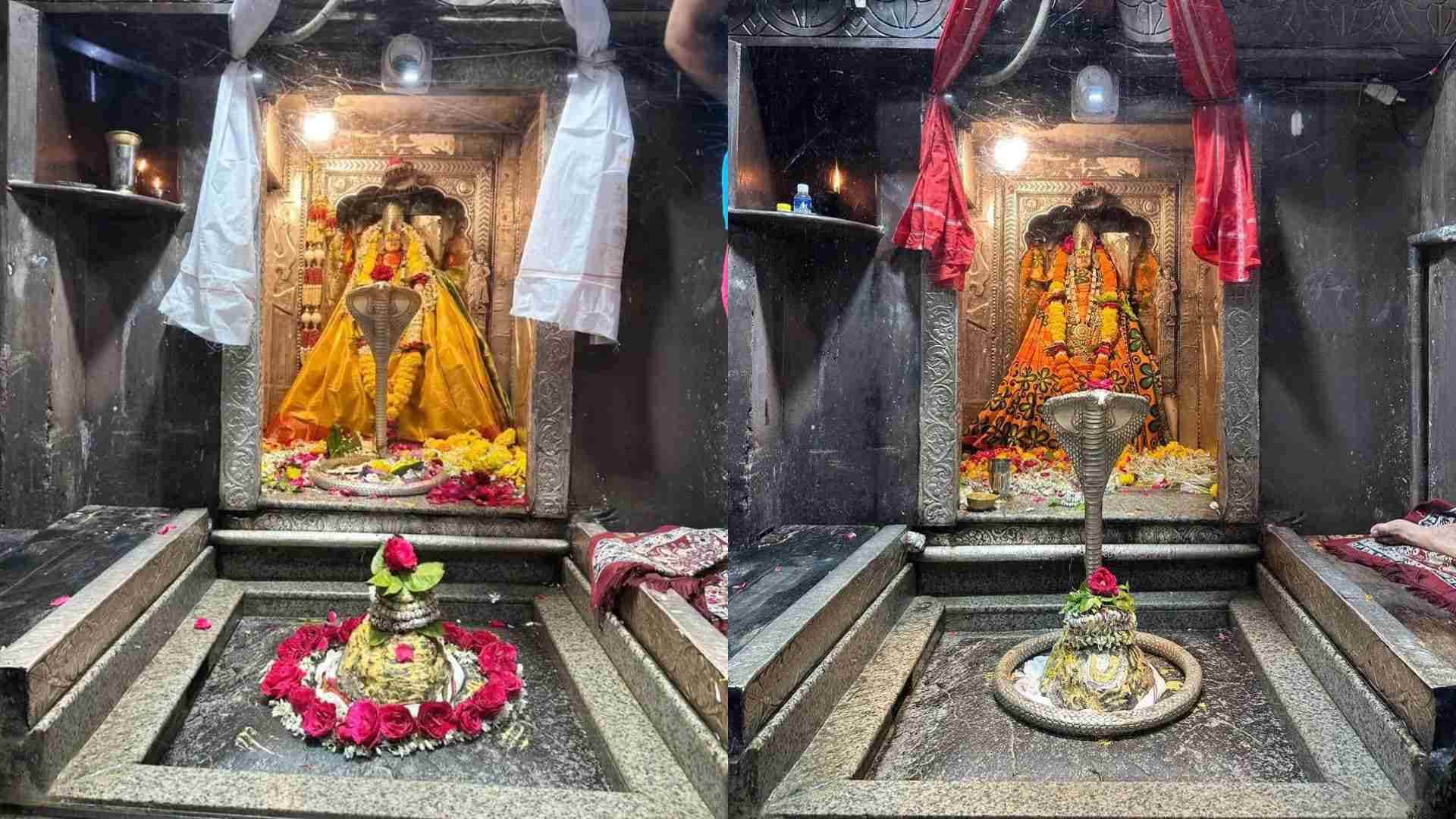 Onkareshwar News: Changed rules for darshan in Omkareshwar for Shravan month 2025