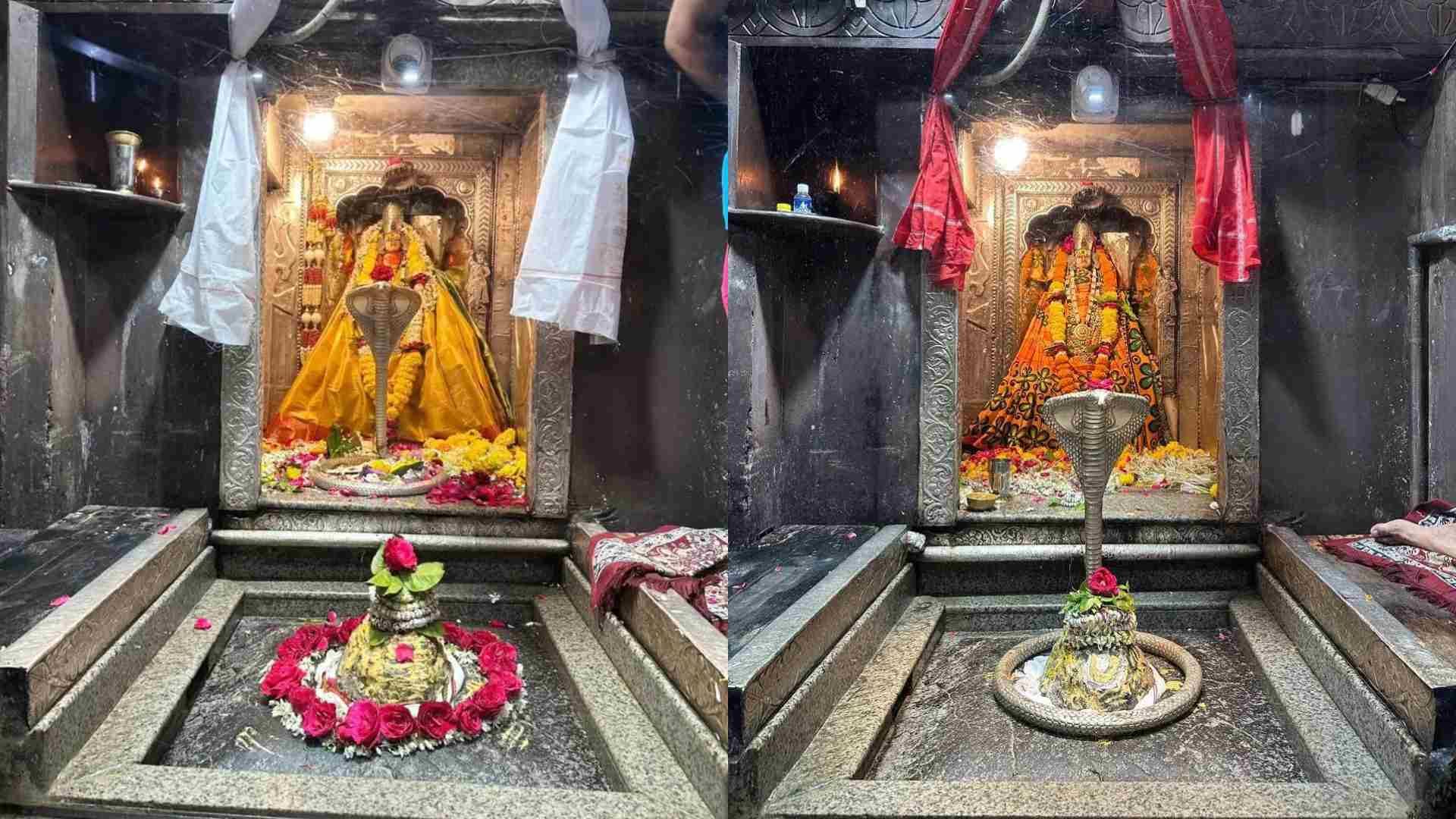 Onkareshwar News: Changed rules for darshan in Omkareshwar for Shravan month 2025