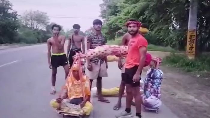 Shravan Kumar of Kalyug: Grandsons Carry Grandmother in Palki with Equal Weight of GangaJal