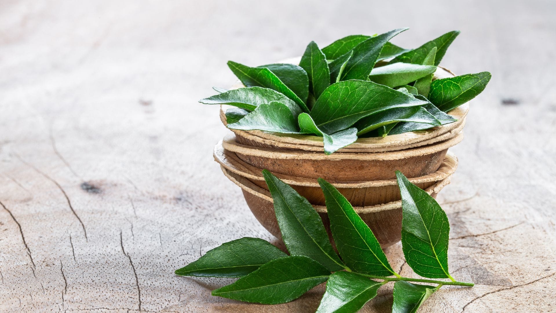 Drink the water of Curry green leaf every morning diabetes obesity will be controlled