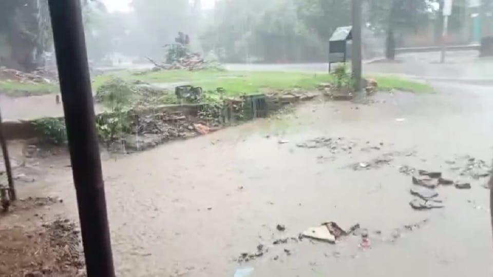 Farmers are worried due to heavy rain in the villages of Gursarai area