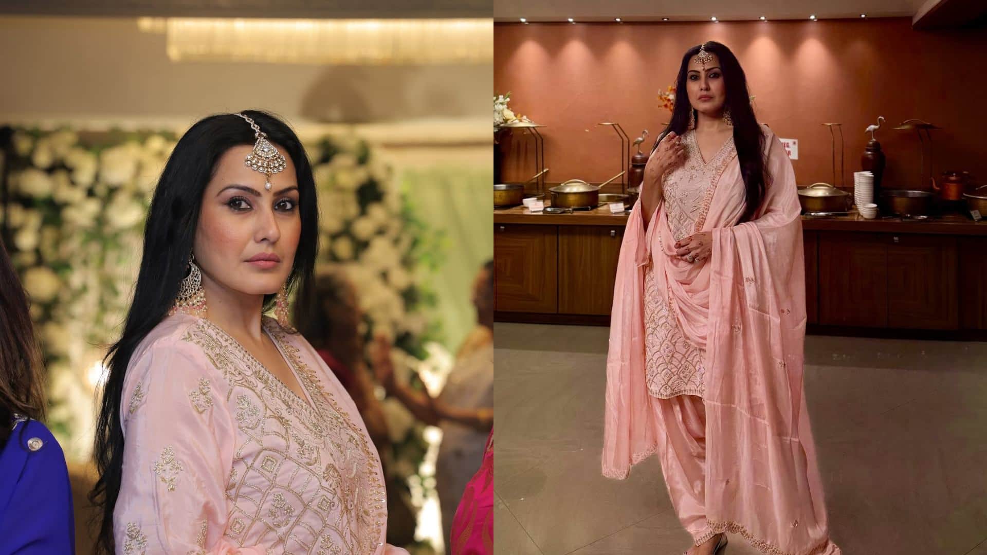 TV Actresses Played Iconic Negative Roles Sudha Chandran Amrapali Gupta Anita Hassanandani Kamya Panjabi