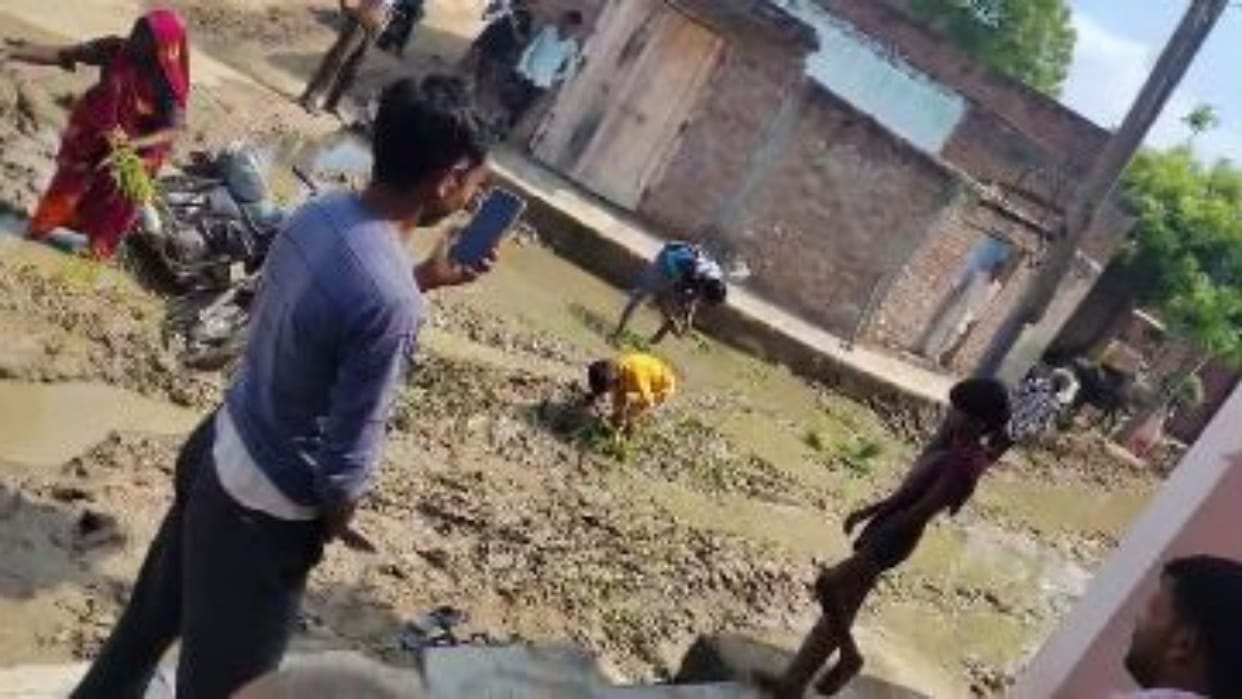 villagers planted paddy on muddy road video goes viral in Bareilly