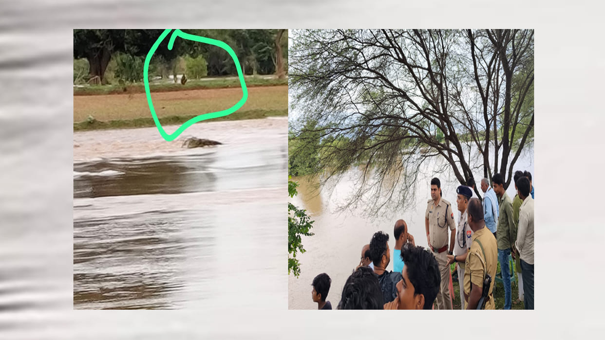 Banda: Water level of Ranj river increased during rain, farmer got stuck on island for 10 hours