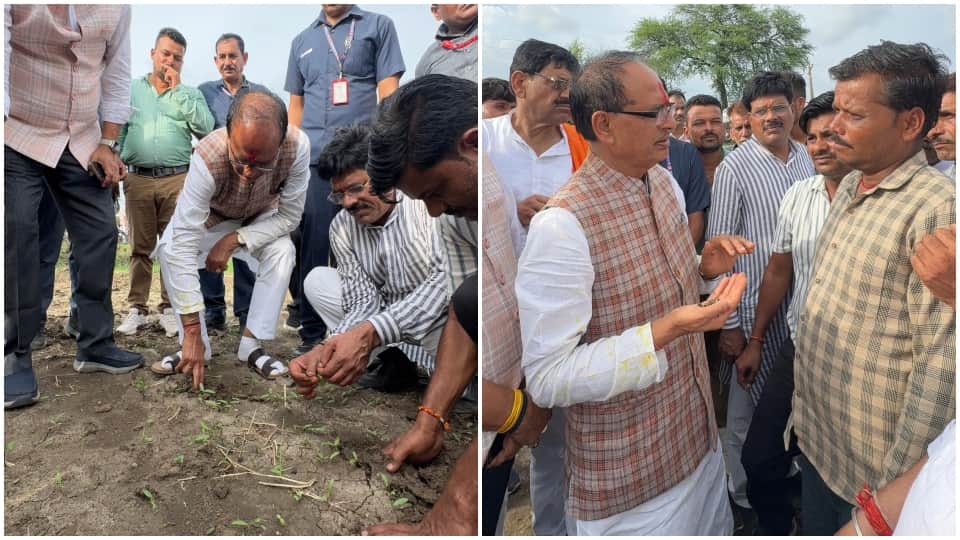 MP News: Action against companies making fake seeds, Union Agriculture Minister Shivraj Singh said in Ganjbaso