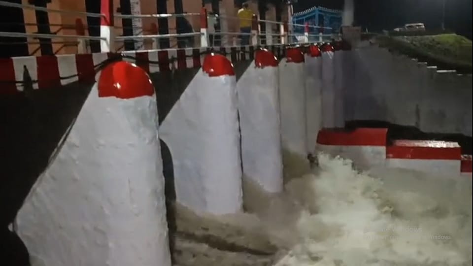 Lalitpur: Dams filled to the brim due to continuous rain, gates of nine were opened