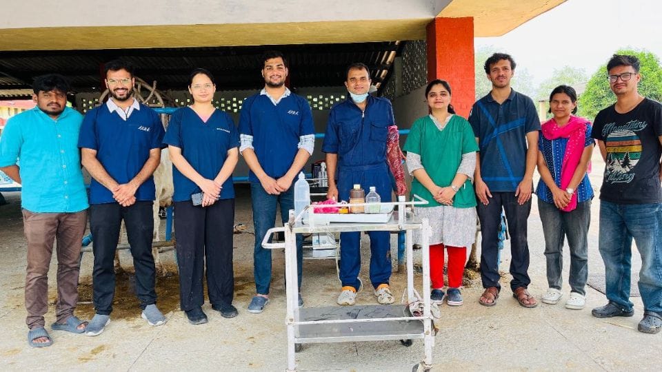 IVRI got success in transplanting test tube embryo into womb of surrogate cow and buffalo