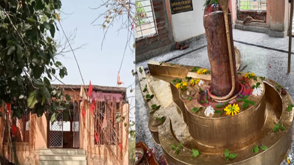 Jharkhandi Baba: Where life was saved and Shivlinga appeared by itself