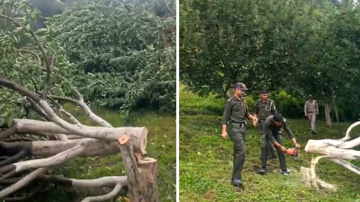 forest department took action against illegal encroachments preparations underway in Jubbal Rohru as well