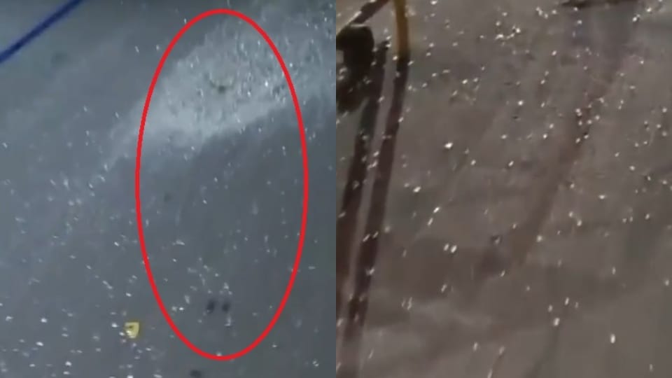 glass pieces found on a road in shahadara on Kanwar Yatra route