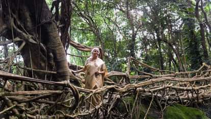 लीविंग रूट ब्रिट पर वित्त मंत्री निर्मला सीतारमण