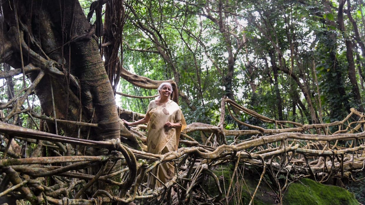 Sitharaman backs Meghalaya's efforts to get UNESCO recognition for living root bridges