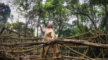 Sitharaman backs Meghalaya's efforts to get UNESCO recognition for living root bridges
