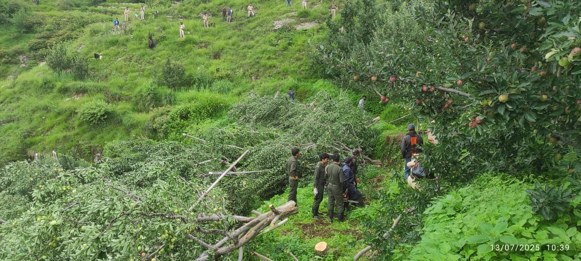 1200 apple trees were axed in two days In Chaithala