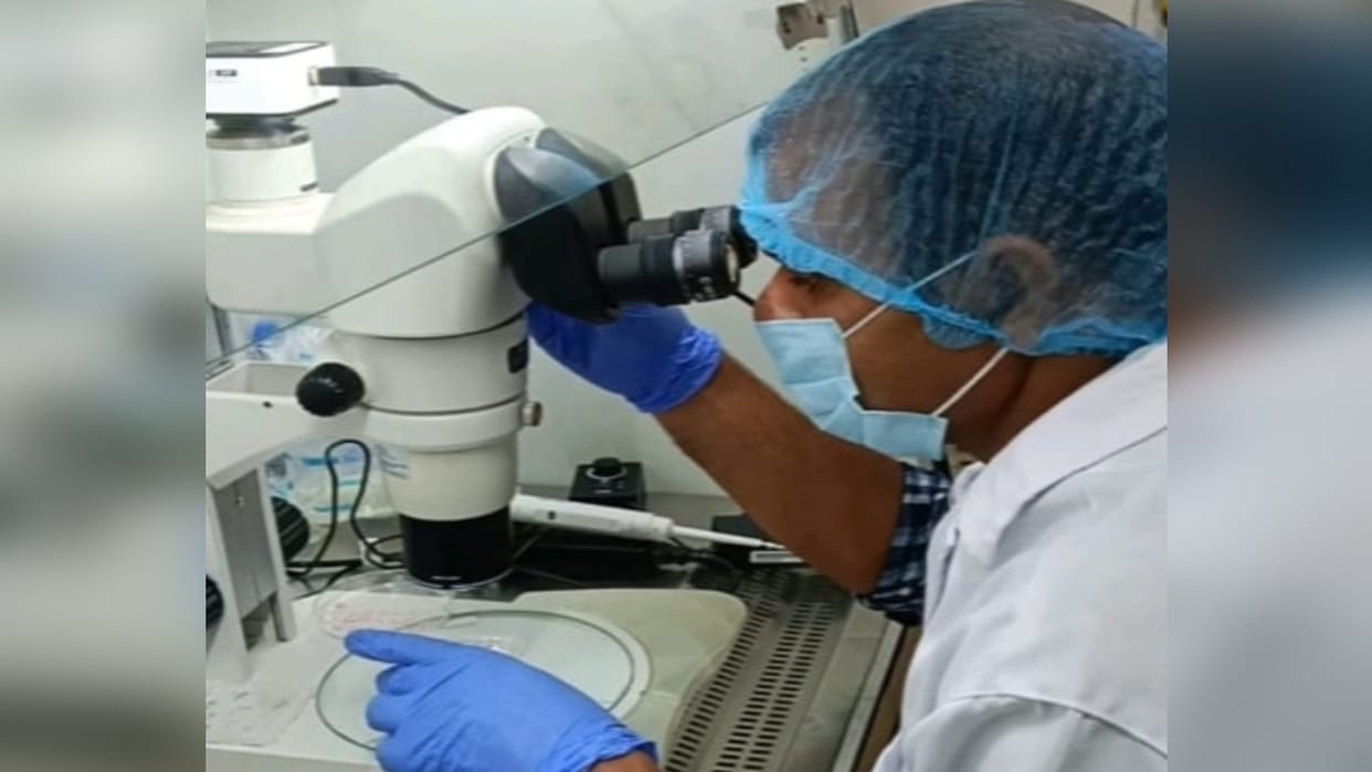 Cows and buffaloes will become surrogate mothers will give birth to seven test tube babies