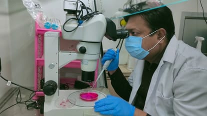 IVRI got success in transplanting test tube embryo into womb of surrogate cow and buffalo