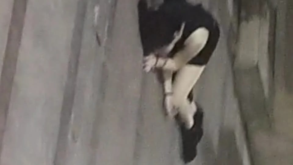 young woman created ruckus outside mall located in Chandigarh