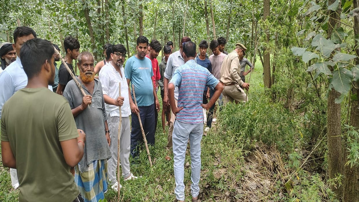 Leopard spotted in Bareilly Shergarh foot marks found in the fields