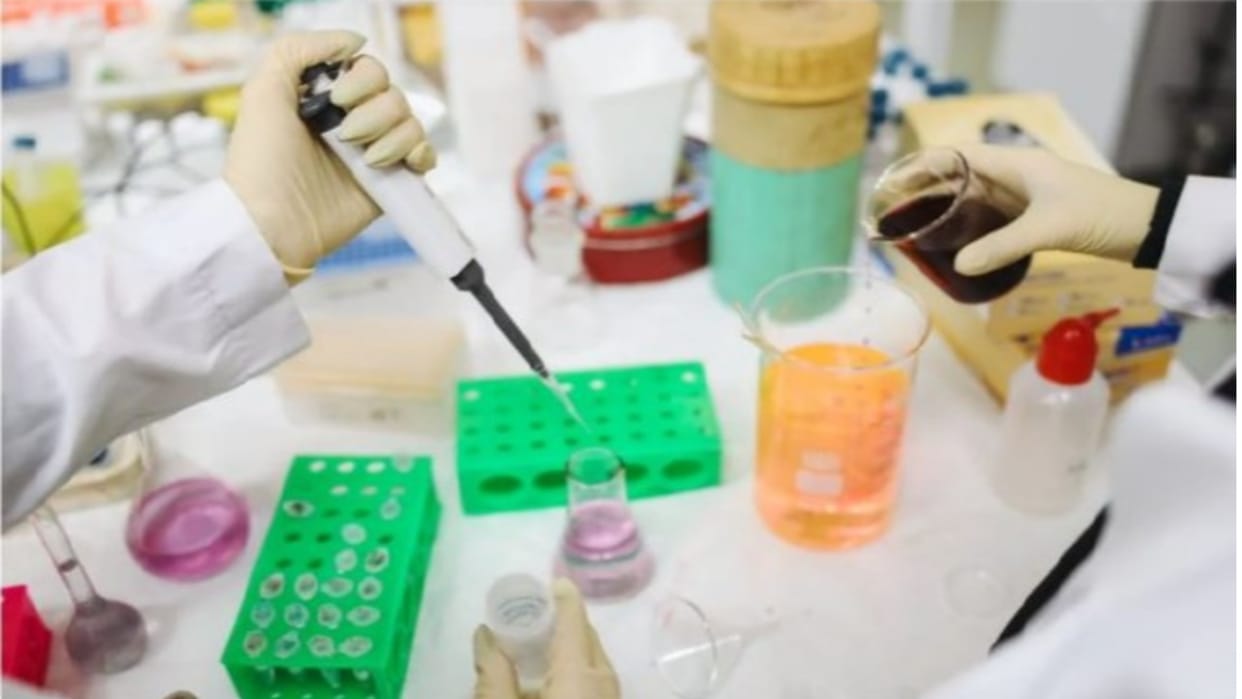 India has a golden opportunity to increase its share in the US chemical market, claims SBI report