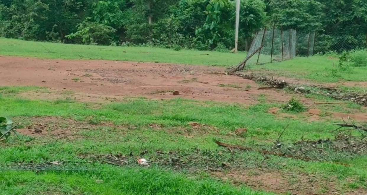 Plants planted by Shivraj Singh Chauhan dried up in 3 months, questions raised on Janpad Panchayat Bijawar