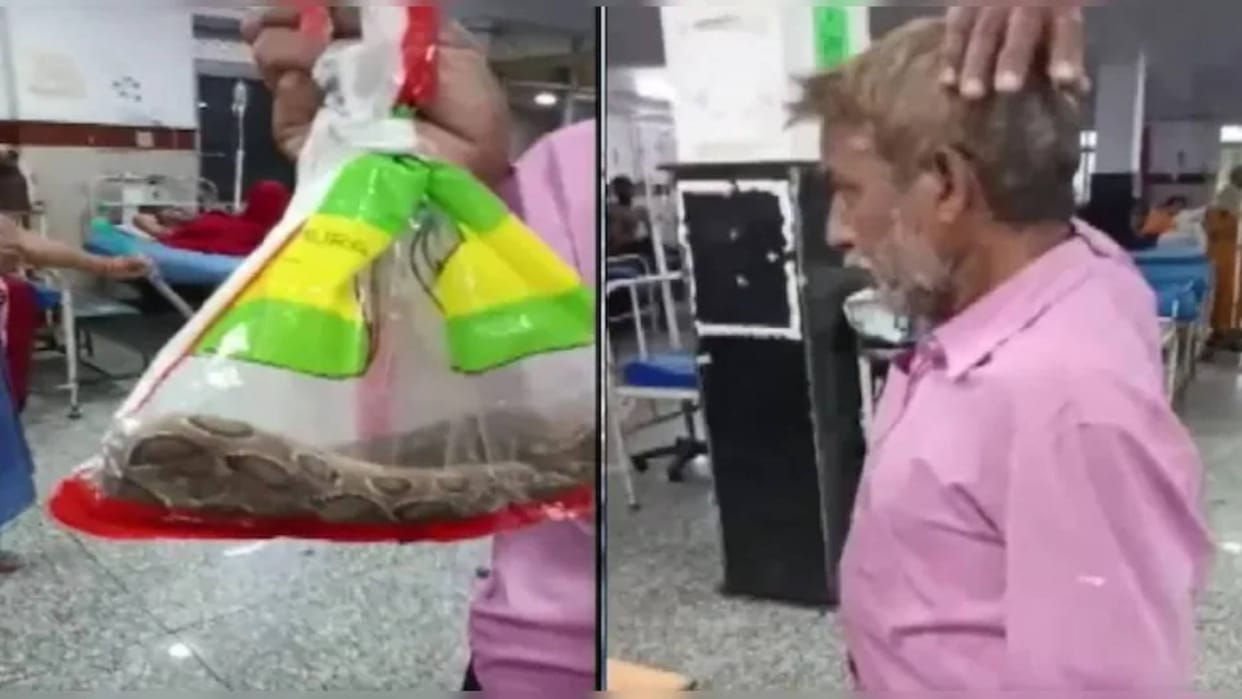 A man brought the snake that had bitten him in a plastic bag and said this to doctor Video goes Viral