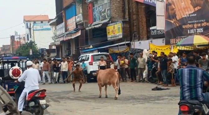 Unnao A mentally ill youth clashed with a bull in Bangarmau traffic jam occurred on the middle of the road