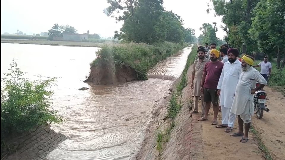 Canal broke in Barnala flood situation 300 acres of crops got washed away in the water see video