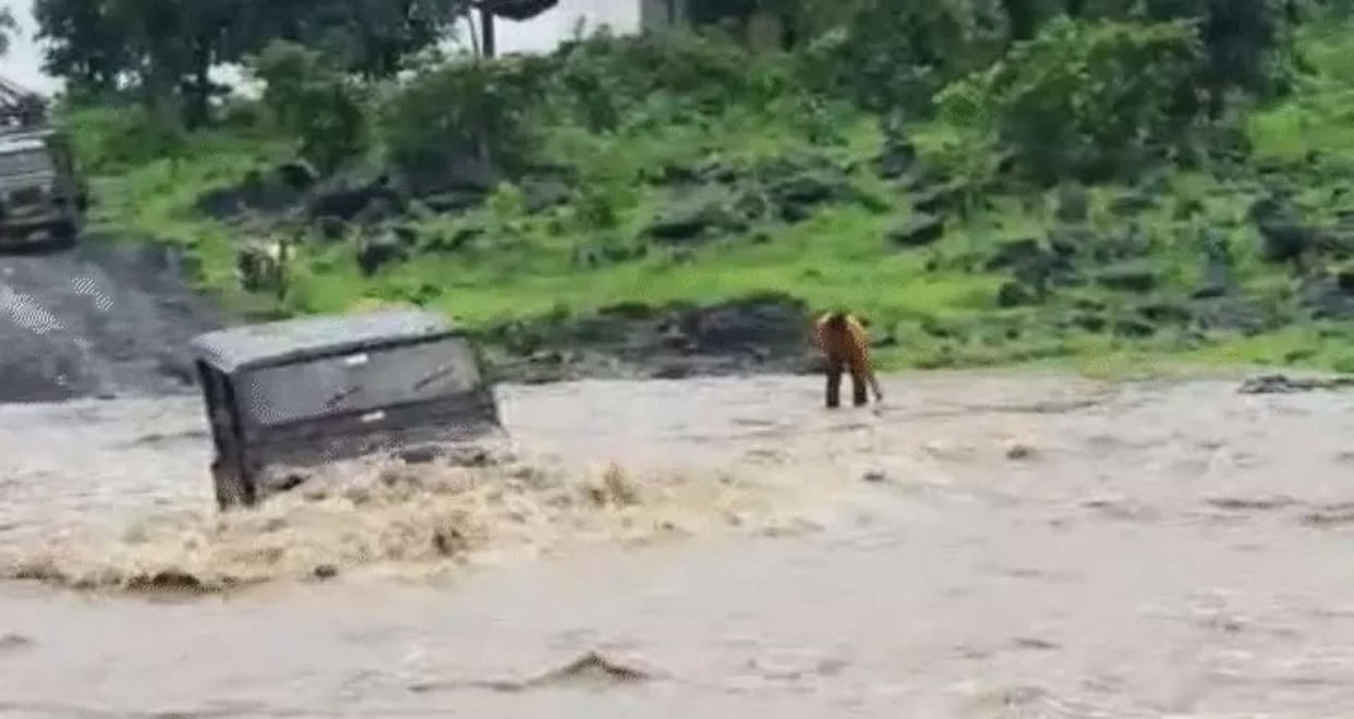 Bhopal: Vehicles again ran in the overflowing river near Bhopal, trial of Mud Challenge Rally despite the ban