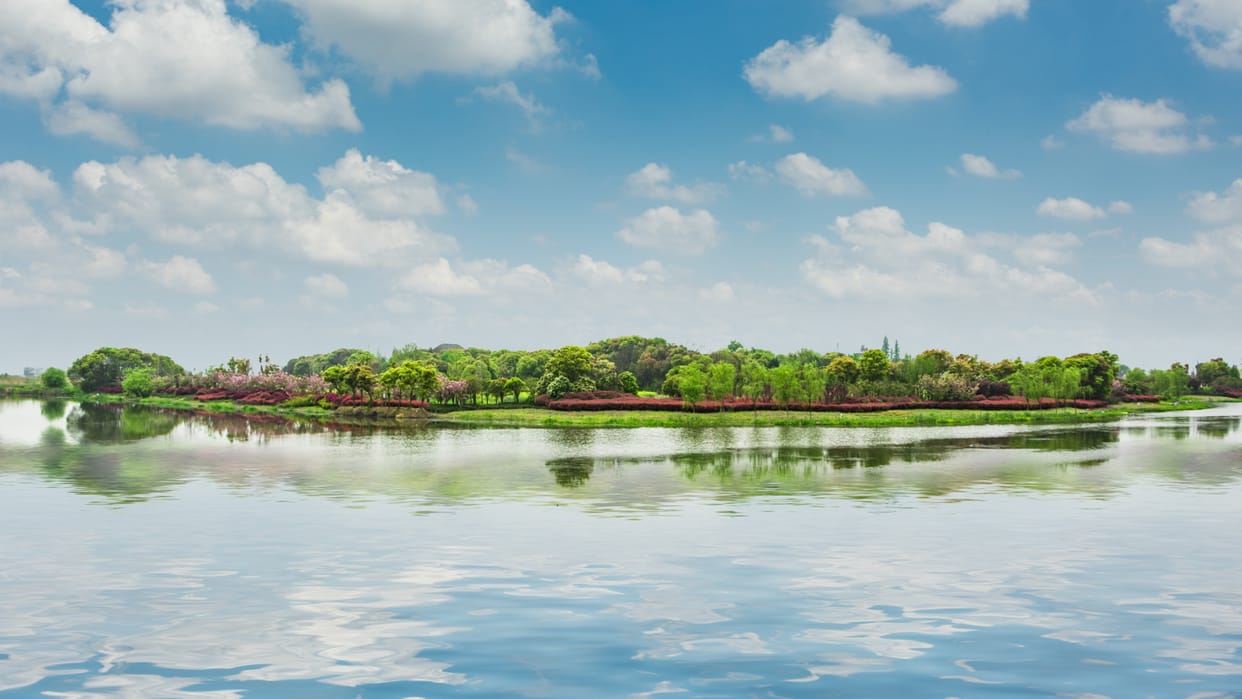 historic campaign to return rivers to their original natural form in Europe gained momentum