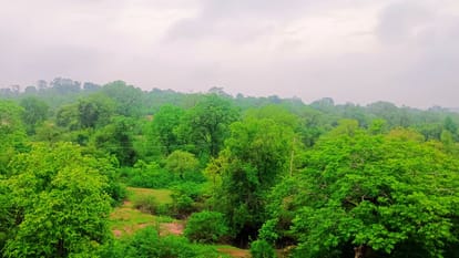 UP Weather Orange alert for rain in Chandauli pleasant weather relief from humidity water reaches