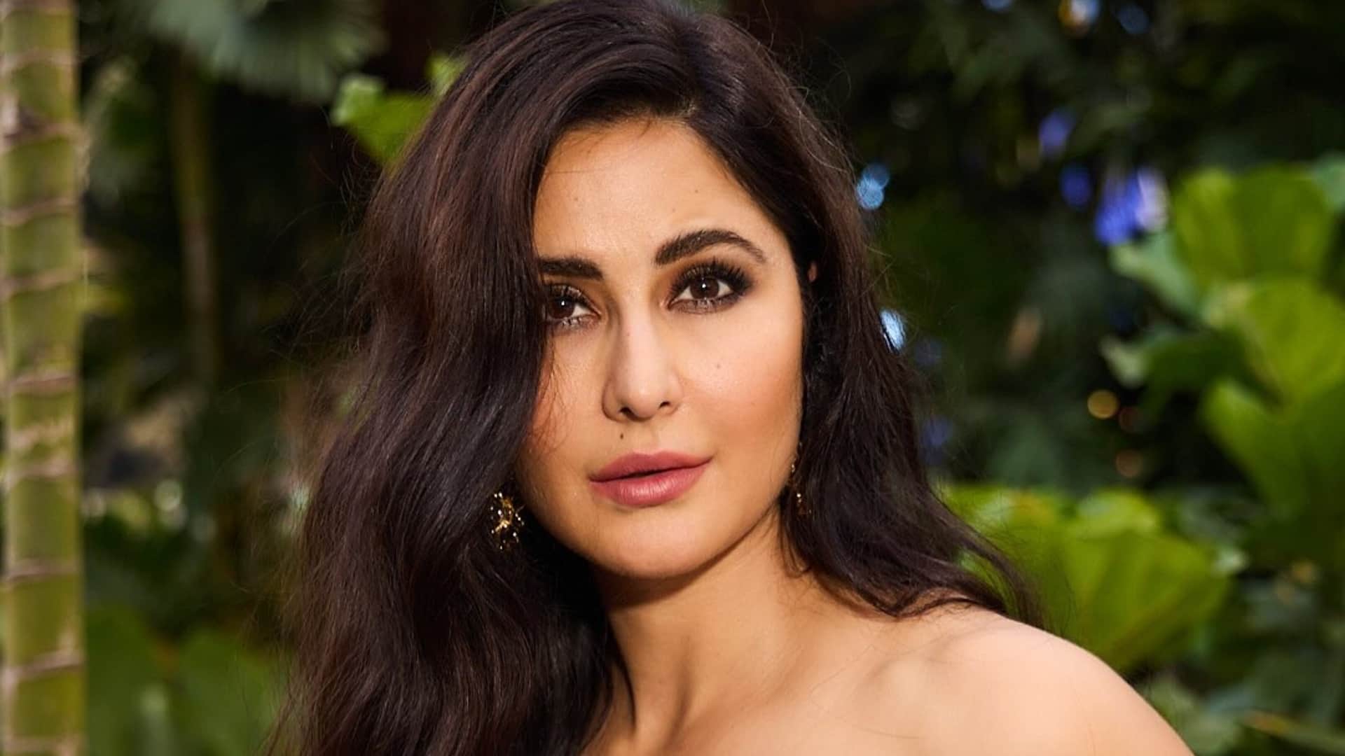 bollywood actress katrina kaif networth on her 42th birthyday movie advertisement social media as per report