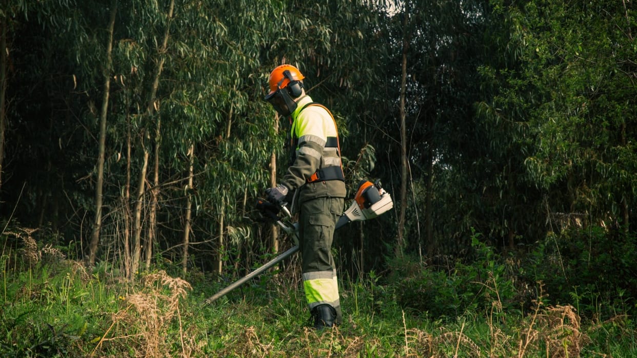 Govt Job: Apply Now for 691 Forest Officer Posts in Andhra Pradesh, Registration Begins July 16