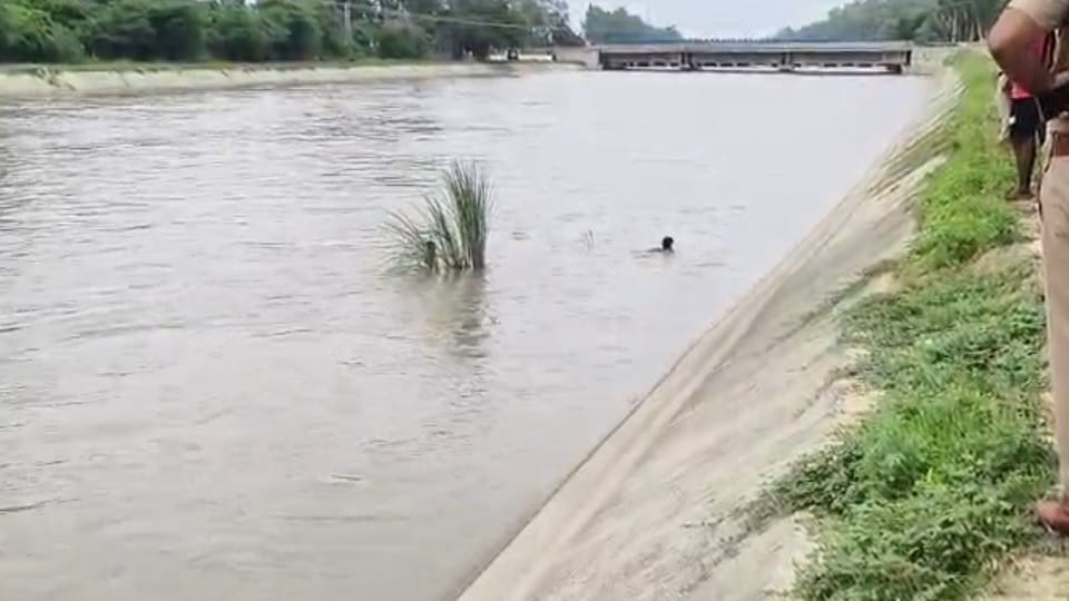 Two real sisters jumped into the Yamuna canal