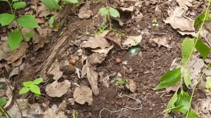 बीजापुर आईईडी बरामद