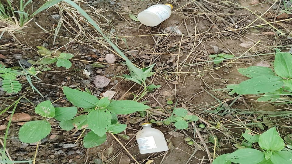 Animal vaccine found in the field