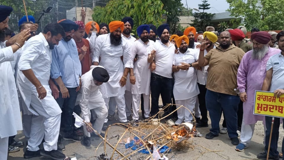 Akali Dal Jalandhar burns effigy outside Congress office  accuses of vandalism