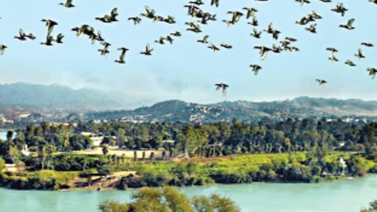 STRP report: 41 crore hectares of wetlands destroyed in 50 years