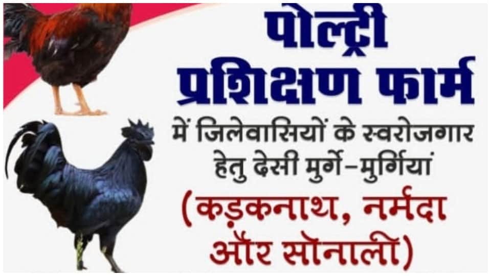 Controversy in Harda Over hen Named Narmada Brahmins Community Demands Action