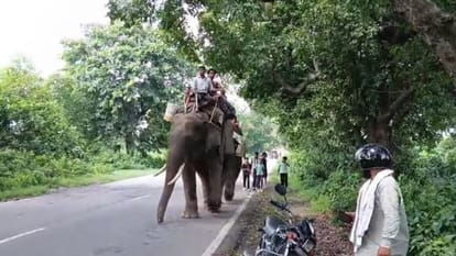 वन विभाग की टीम हाथियों पर सवार होकर कर रही निगरानी