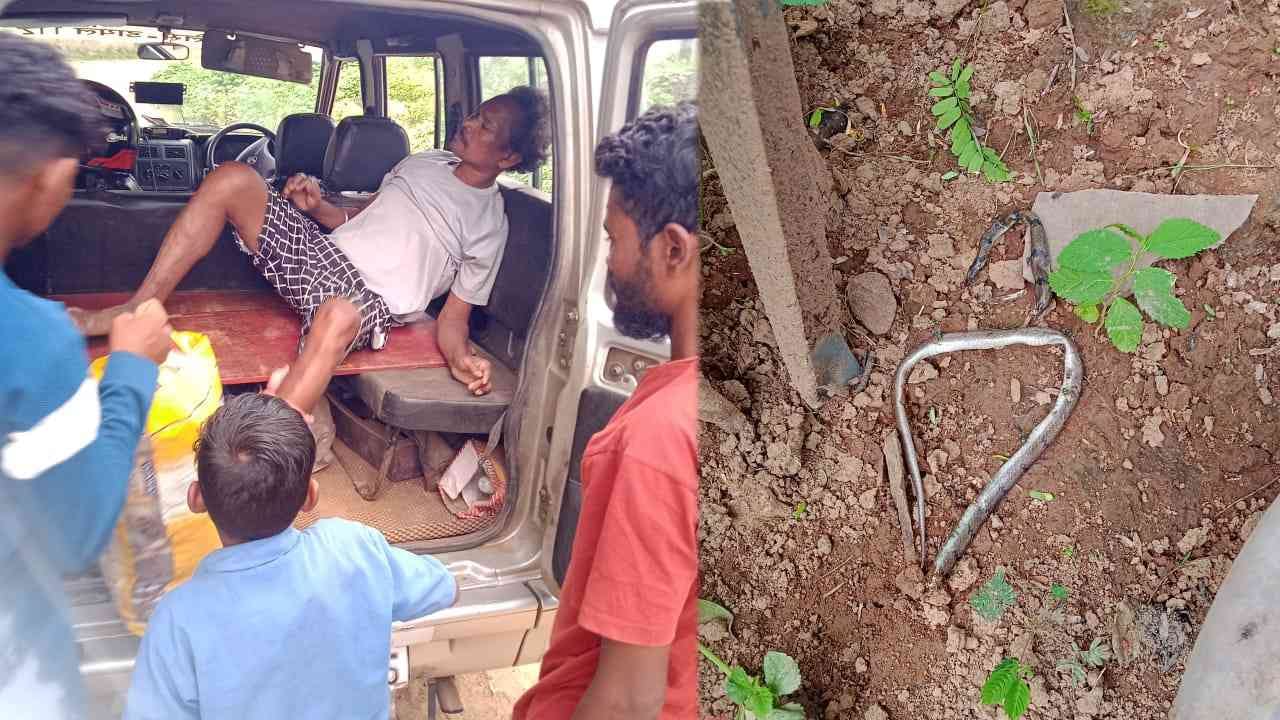 घर में सो रहे युवक को करैत सांप ने डसा
