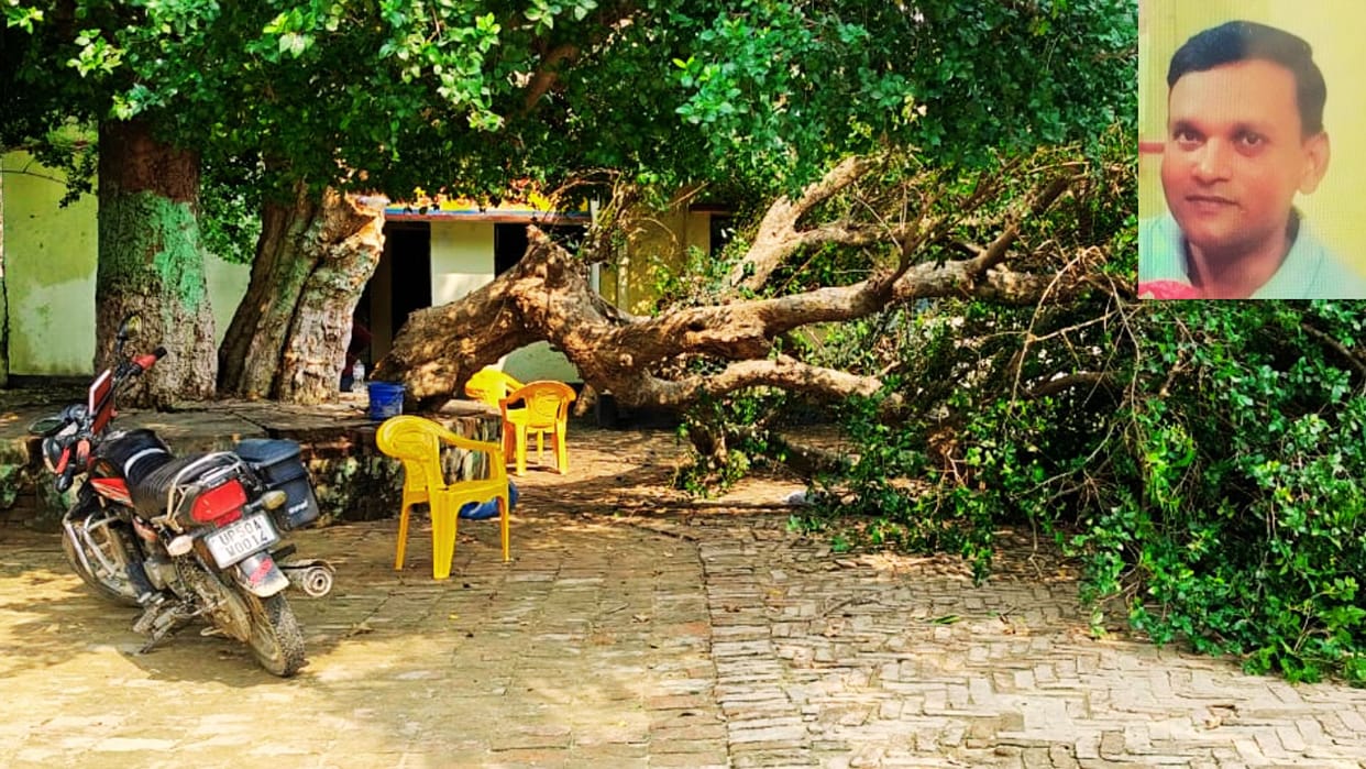 Ghazipur News Tree branch fell on BEO office assistant teacher died head was broken