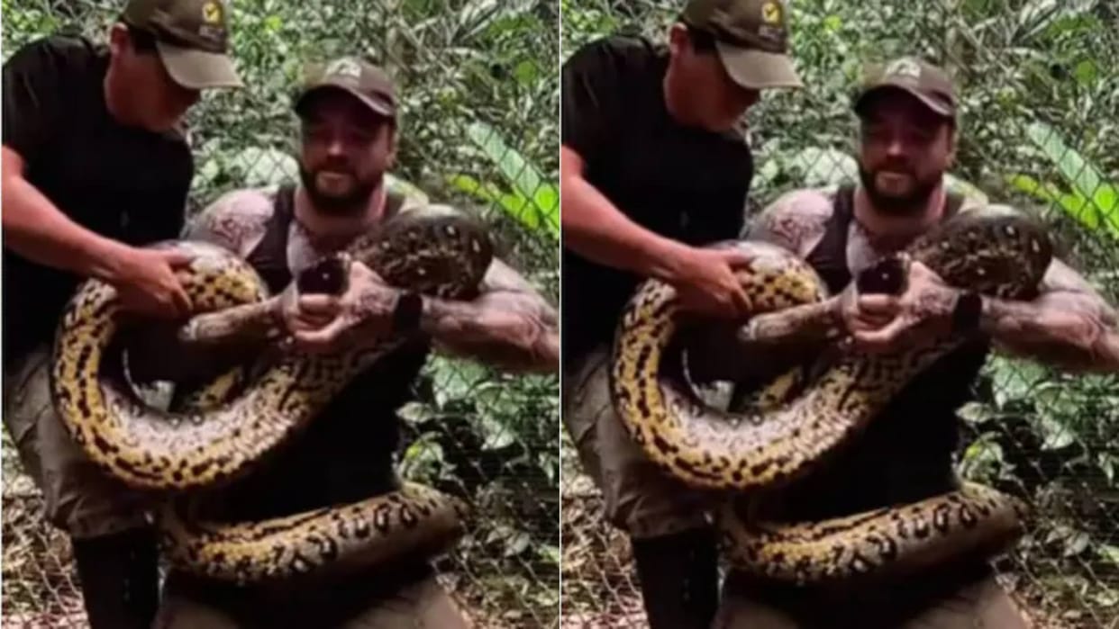 The man caught the jaw of the dangerous anaconda with his hands the snake attacked again Video goes Viral