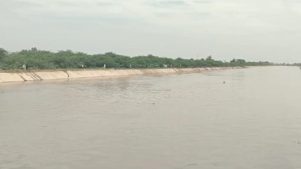 Dead bodies of woman and child found in canal in Abohar