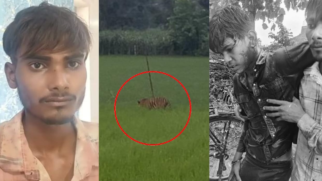 17-year-old Nilesh fought with tiger in Pilibhit Harvansh also fought to save his friend