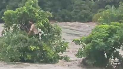 Rajsamand: Torrential Rain Wreaks Havoc, Woman Swept Away in Drain, School children Rescued Using JCB